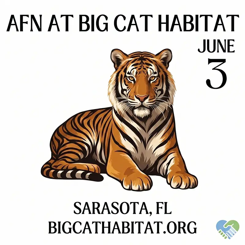 Event - Big Cats poster