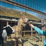 learn to make and keep friends